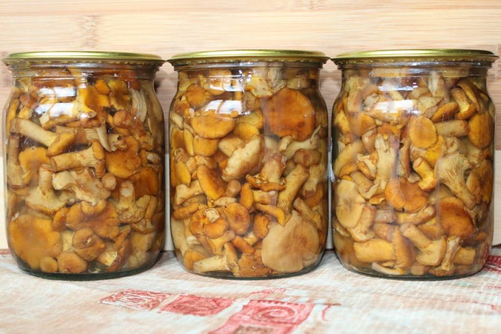 Как заморозить лисички на зиму -  рецепт приготовления грибов