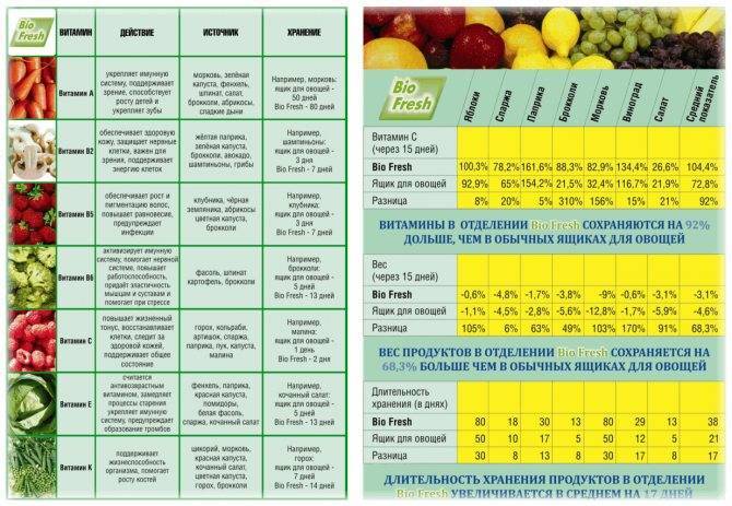 Оптимальные условия и температура хранения овощей и фруктов