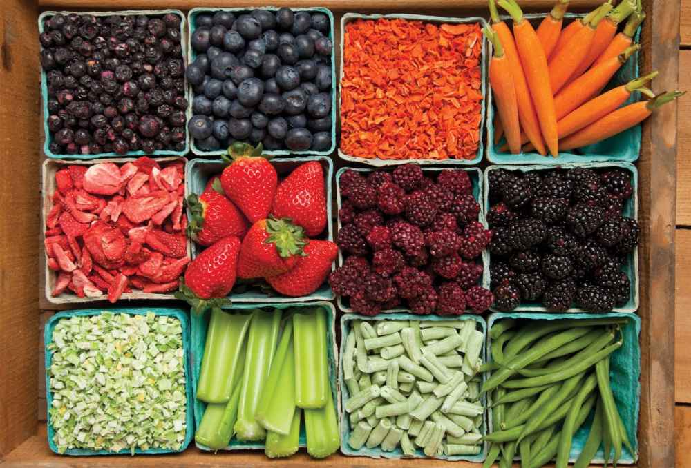 Технология хранения овощей, плодов и ягод в хранилище: температура, влажность и другие условия