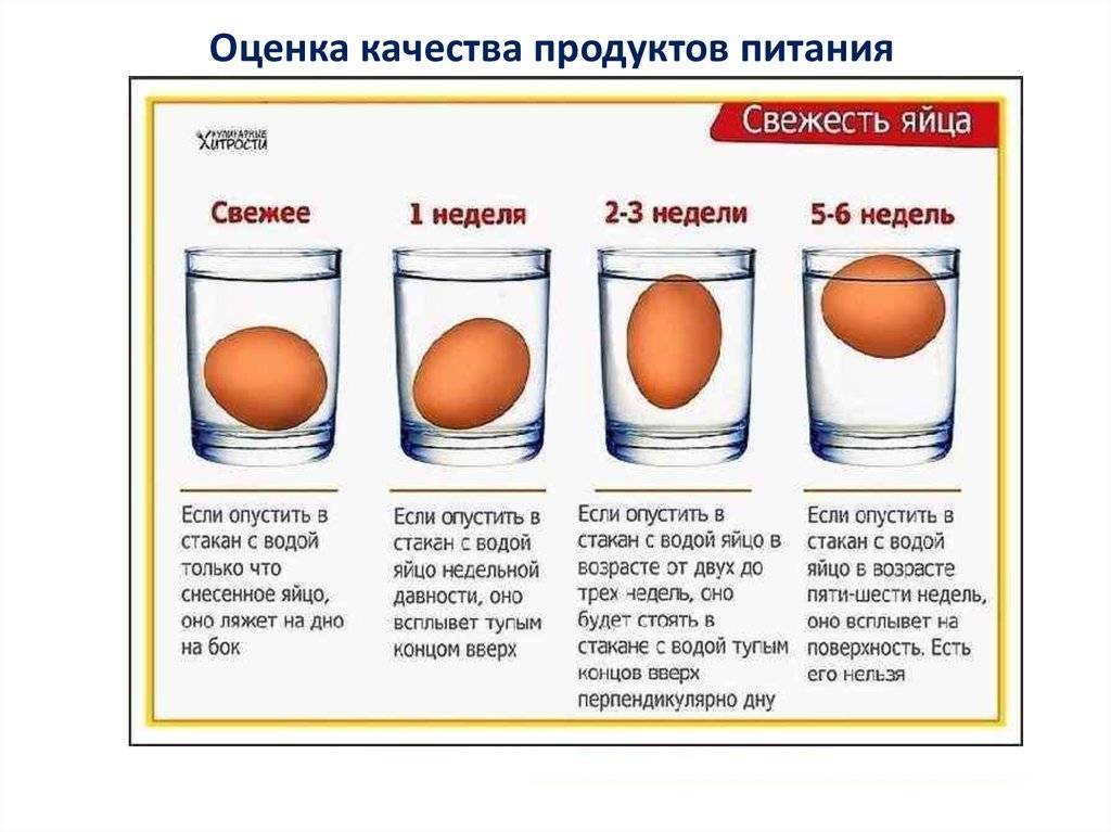 Почему вареное яйцо всплыло в воде. КВК понять свежесть яйца. Проверка яиц на свежесть. Определить свежее яйцо. Как узнать свежие яйца или нет в воде.