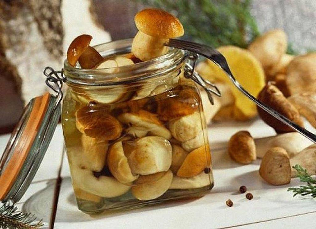 Белые грибы на зиму: топ-6 самых вкусных рецептов