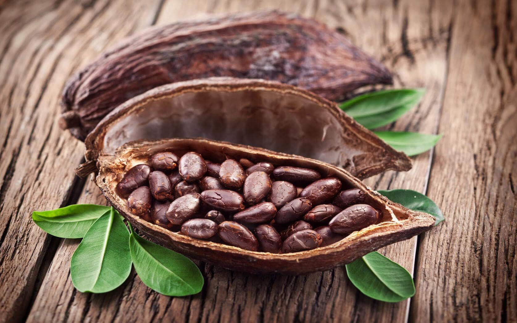Какао бобы | польза, вред и свойства какао бобов | компетентно о здоровье на ilive