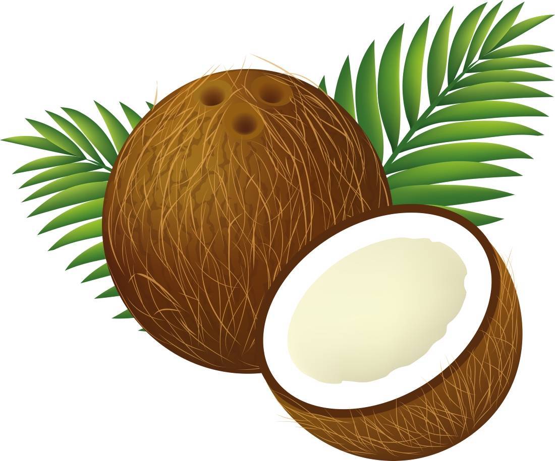 Мякоть кокоса: области применения, 5 лучших рецептов, польза и вред