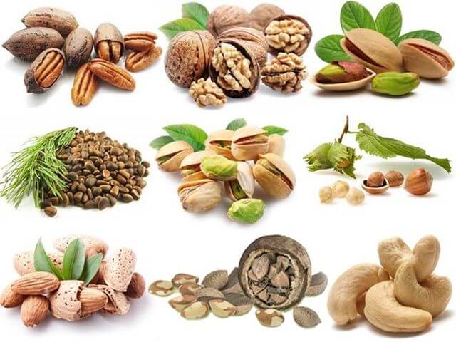 Кедровые орехи польза и вред для организма сколько нужно съесть