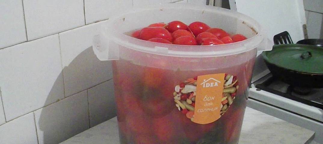 Как солить помидоры простым холодным способом в ведре, бочке, кастрюле, банках? рецепты зеленых, красных соленых помидоров на зиму