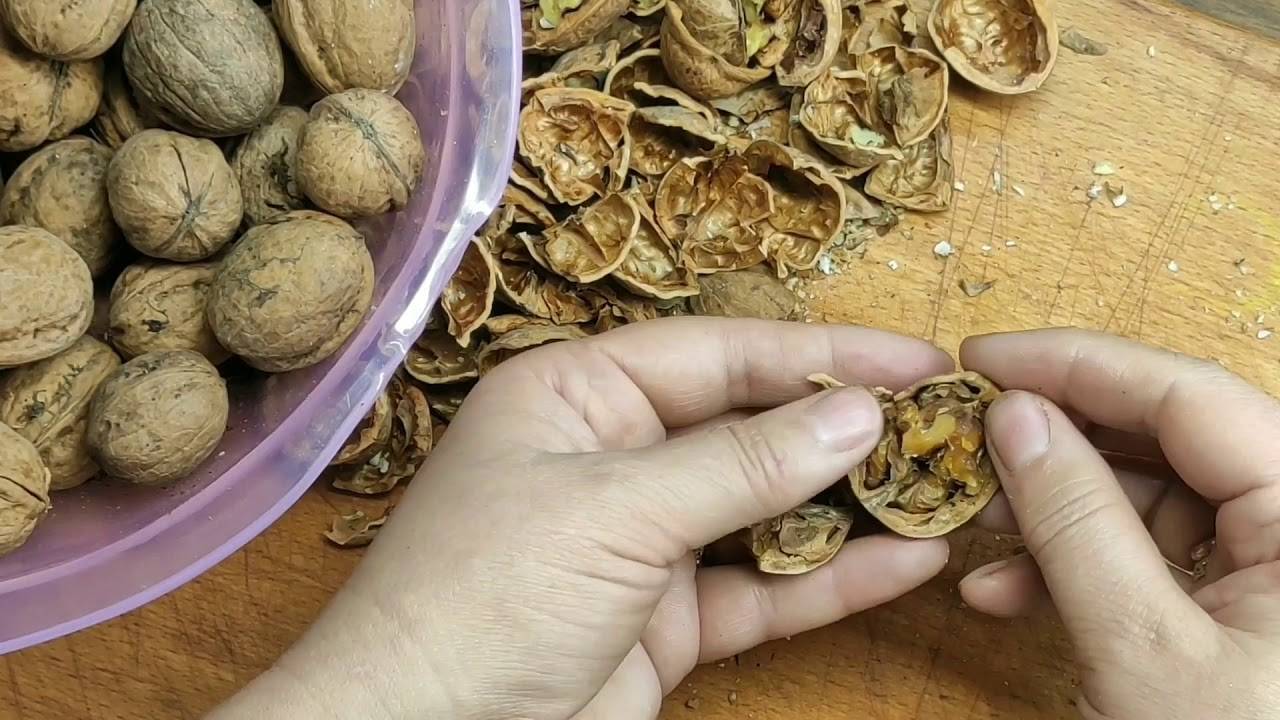 Как чистить грецкие орехи: от шелухи, скорлупы, быстро, правильно, легко.