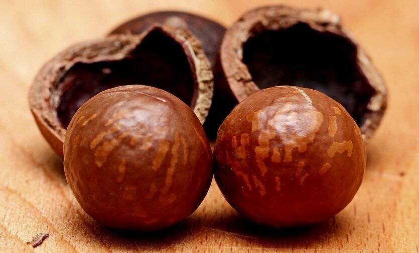Орехи макадамия польза и вред для организма цена
