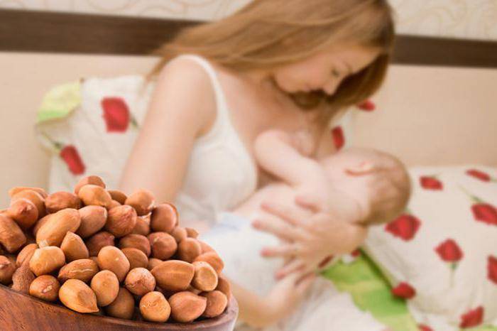 Арахис при беременности: польза и вред земляного ореха