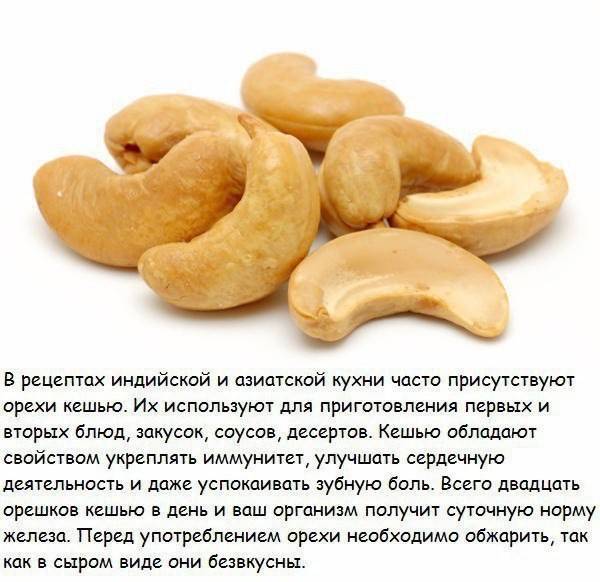 Орехи кешью — состав, калорийность, польза и вред для организма человека