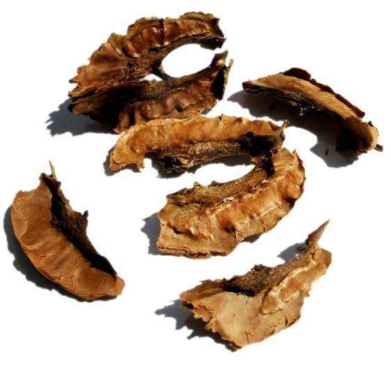 Перегородки грецкого ореха: лечебные свойства настойки, отвара