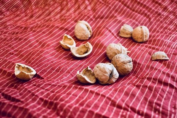Перегородки и скорлупа грецкого ореха: лечебные свойства, применение. скорлупа грецкого ореха от зубного камня и для удаления волос