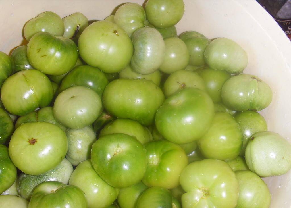 Лучшие методы засолки зеленых помидоров в ведре холодным способом