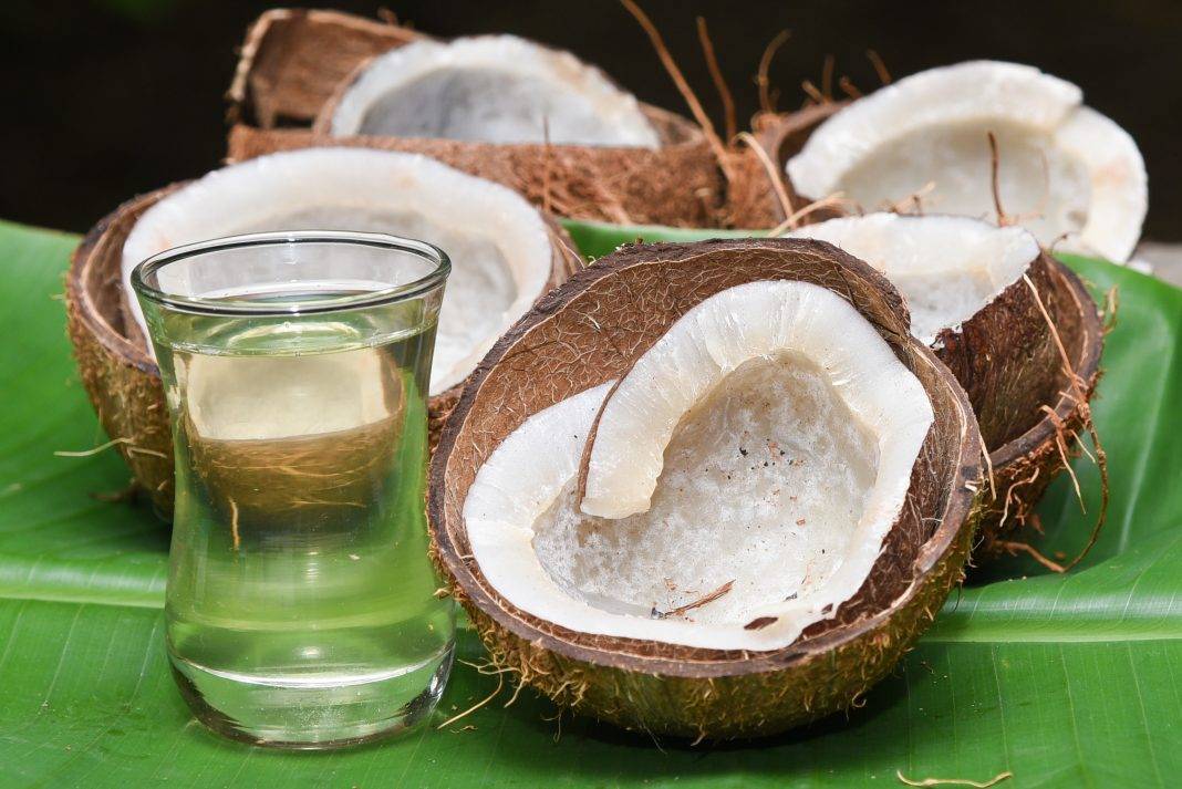 Польза и вред кокосового молока. не обломай себе райское наслаждение!
