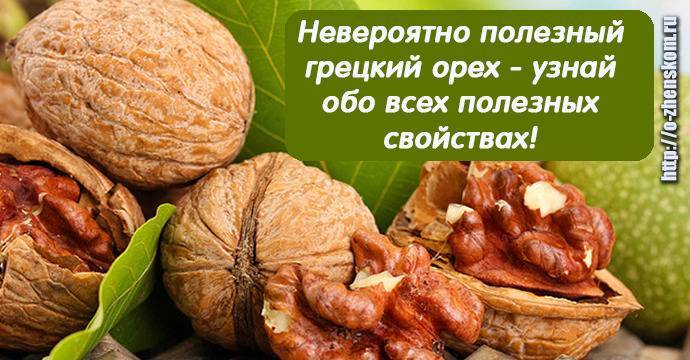 Грецкий орех для нашего организма (польза и вред) +отзывы