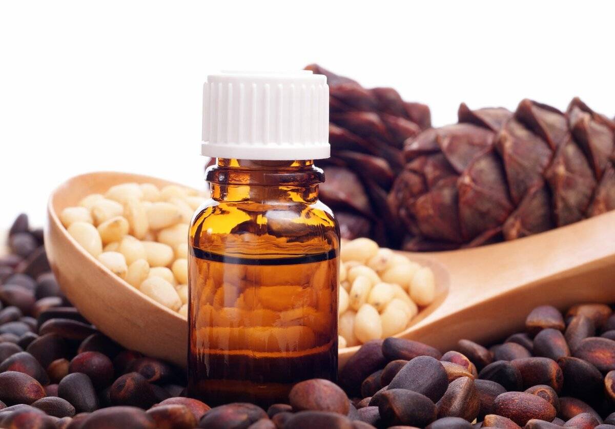 Кедровое масло: лечебные свойства и возможные противопоказания