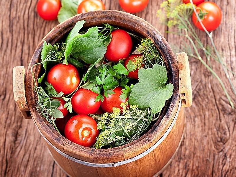 Как засолить помидоры в бочке: лучшие рецепты, приготовление томатов в кастрюле "как бочковые"