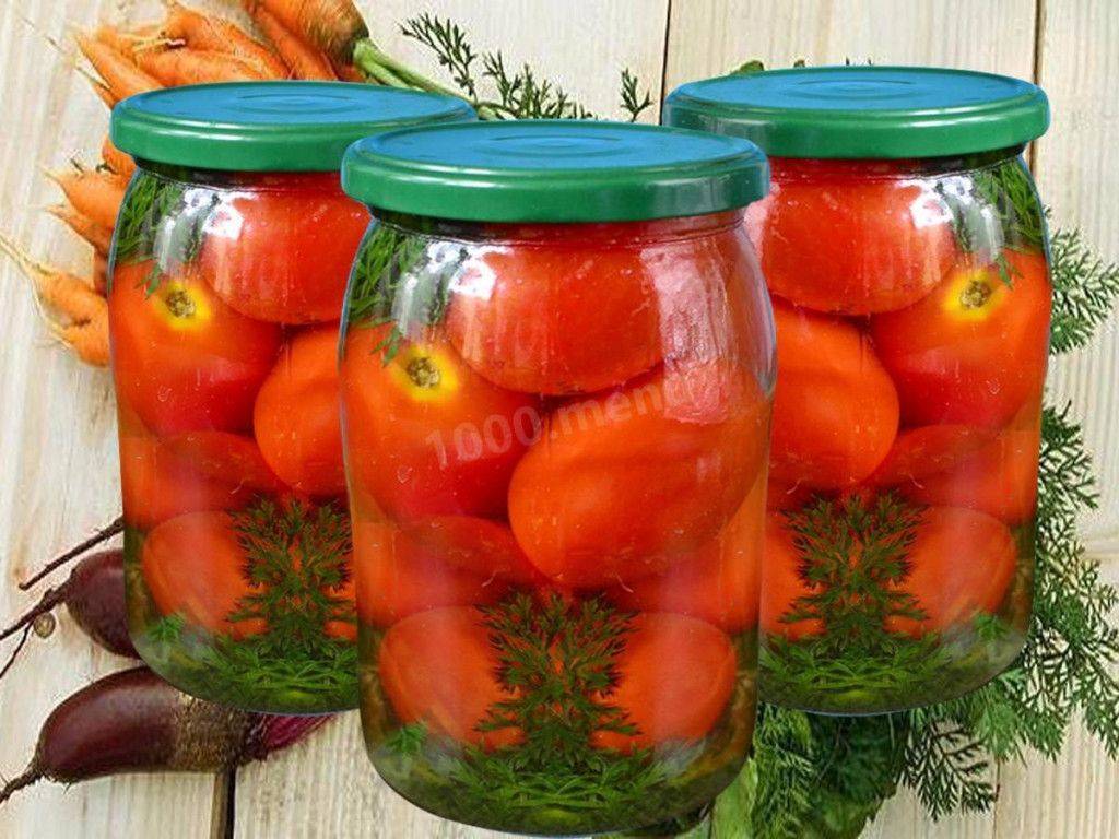 Солить зеленые помидоры с морковью