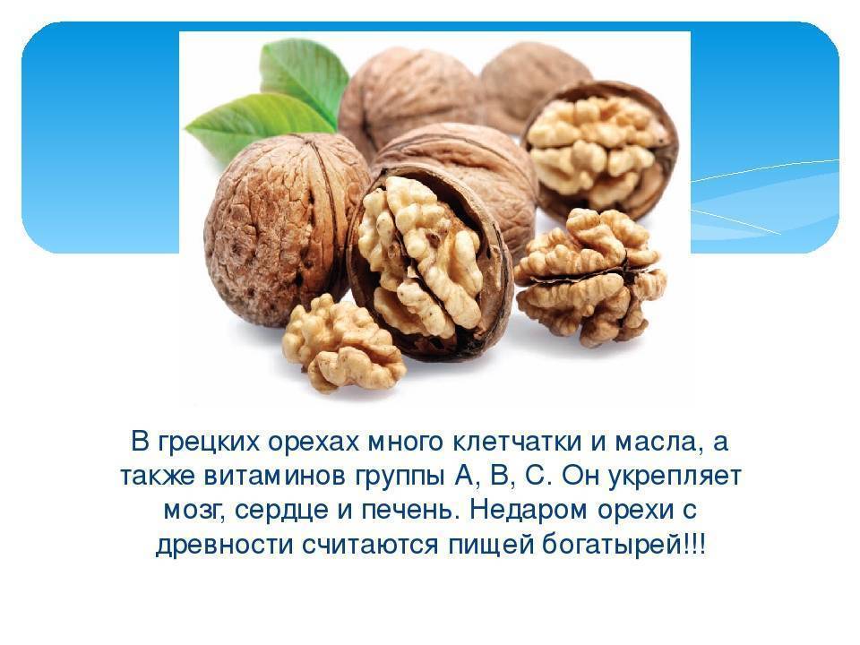 Роль орехов в рационе человека: полезные свойства и калорийность