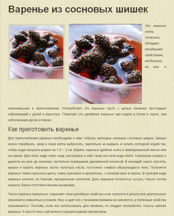Варенье из шишек сосны: проверенные рецепты с фото