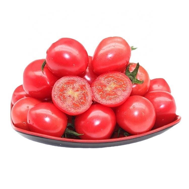 Консервирование помидоров с вишневыми веточками