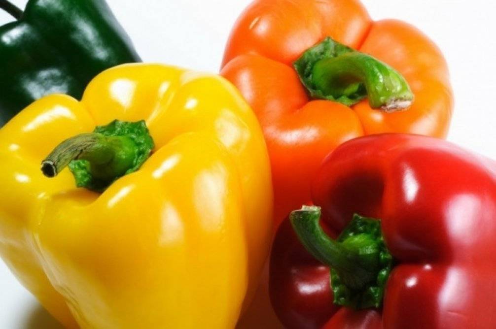 Желтый, зеленый и красный болгарский перец — это овощ или ягода, родина перца сладкого