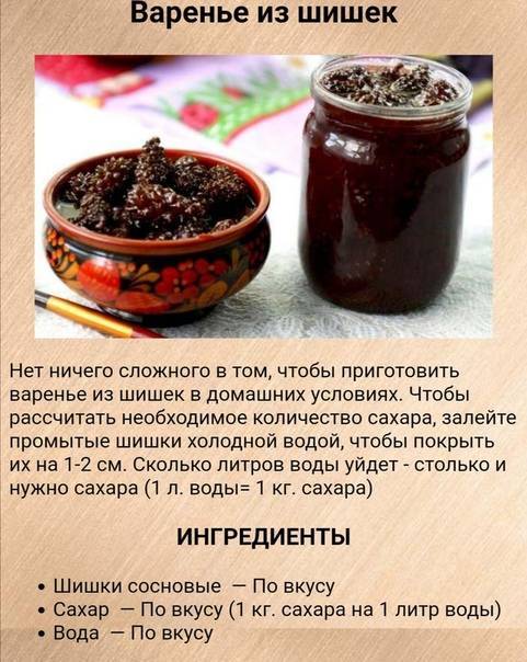 Варенье из сосновых шишек: рецепты с фото пошагово