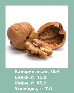 Грецкий орех — калорийность (сколько калорий в 100 граммах)