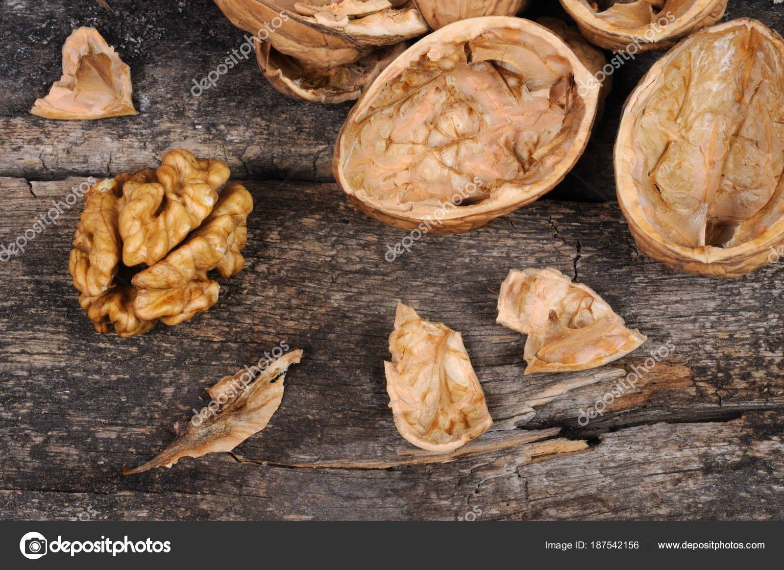 Виды орехов — самый большой список названий с описанием полезных свойств, фотографии, видео, отзывы и рекомендации