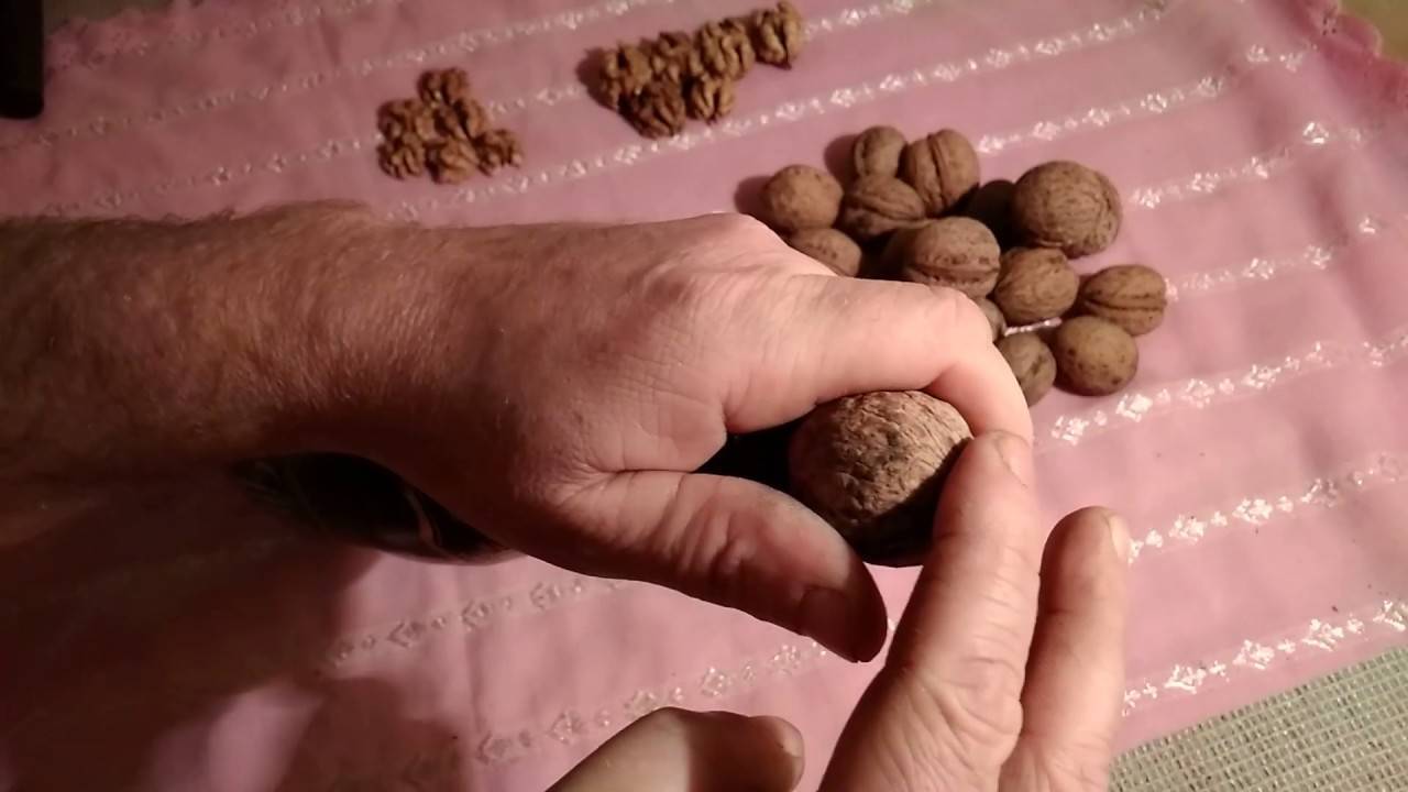 Как чистить грецкие орехи от шелухи и скорлупы в домашних условиях