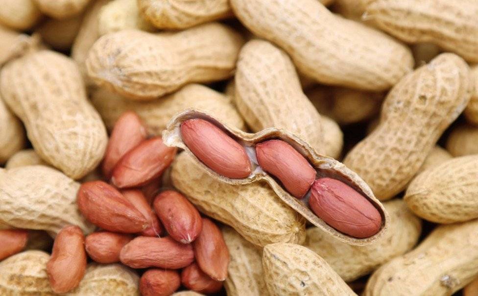 Где растет арахис, его польза и вред для женщин и мужчин + фото