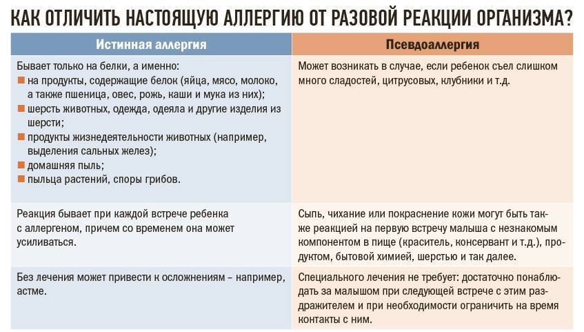 Аллергия: ликбез для аллергика. диагностика, симптомы, лечение