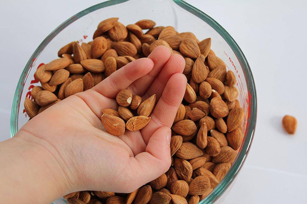 Орехи кешью: польза и вред для организма, сколько нужно съесть