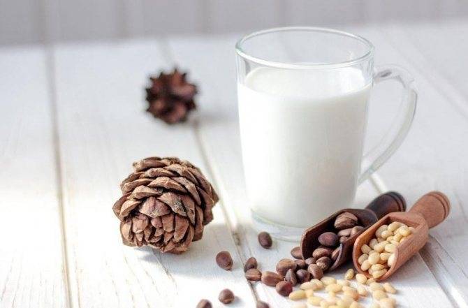 Кедровое молоко: польза и вред, рецепт от кашля, как принимать, отзывы | zaslonovgrad.ru
