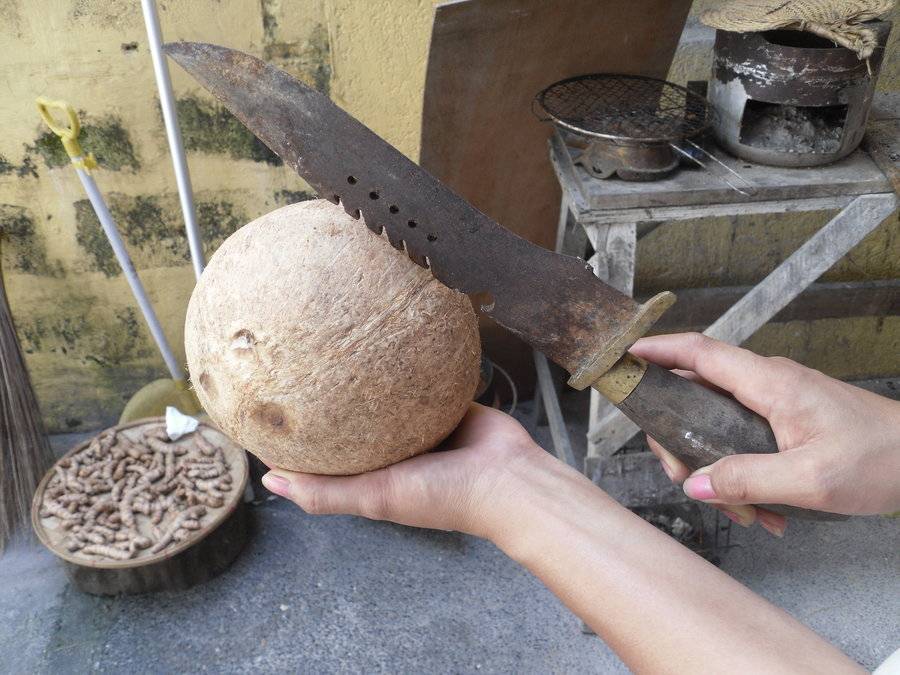 Как открыть кокос в домашних условиях, расколоть, вскрыть или разбить правильно, видео и фото
