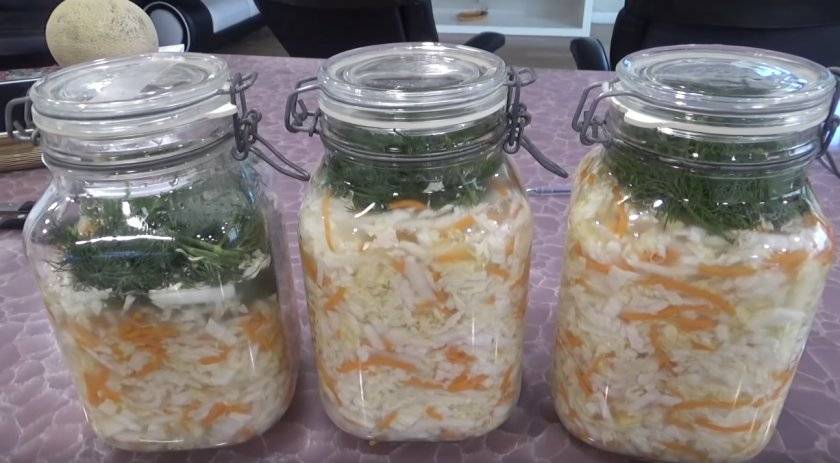 Можно ли солить капусту с замороженной морковью - выращивание из семян!