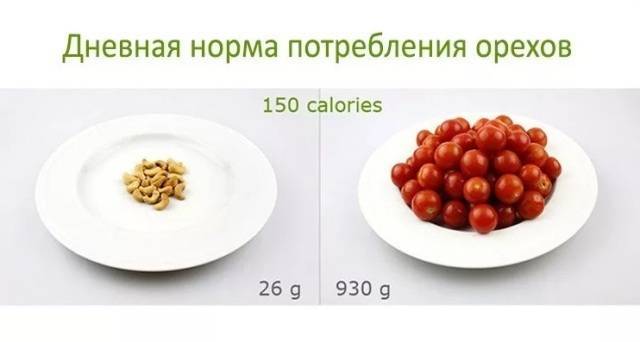 Сколько орехов можно есть в день (кедровых, грецких)? | mnogoli.ru