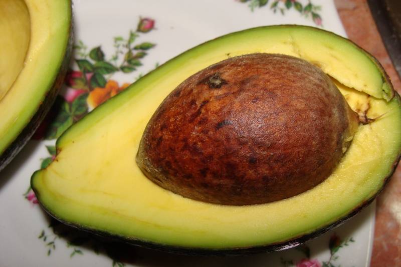 Косточка авокадо полезные свойства