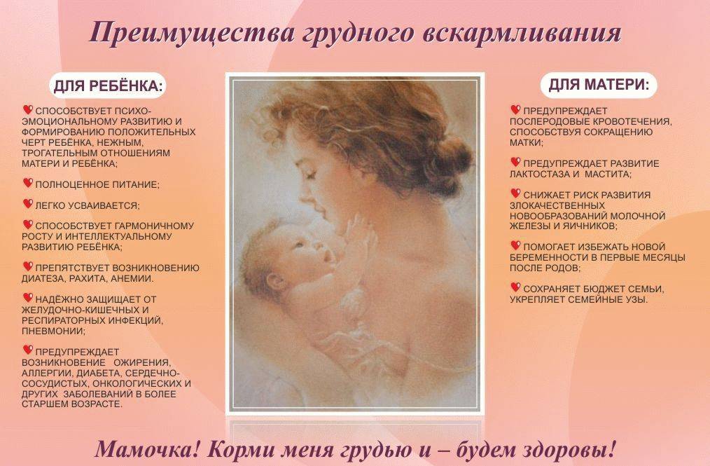 Тонкости применения миндального масла от растяжек и в иных ситуациях при беременности и после родов