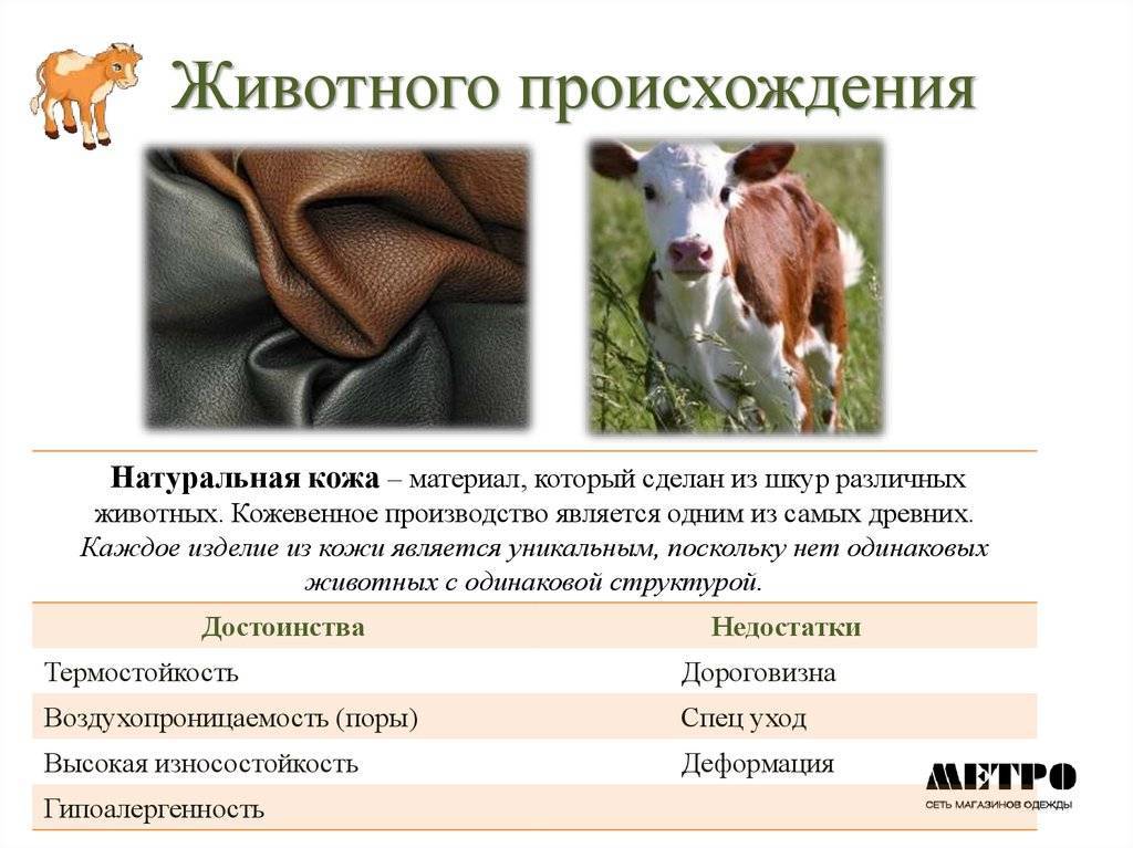 Сырье животного происхождения: лекарственные и для кормов