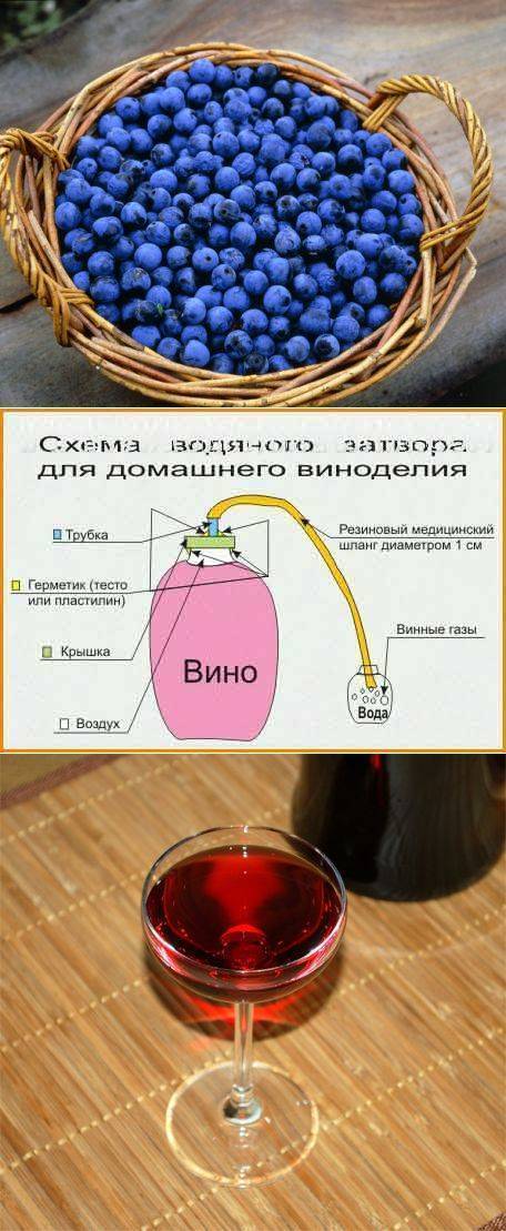 Как приготовить вино дома