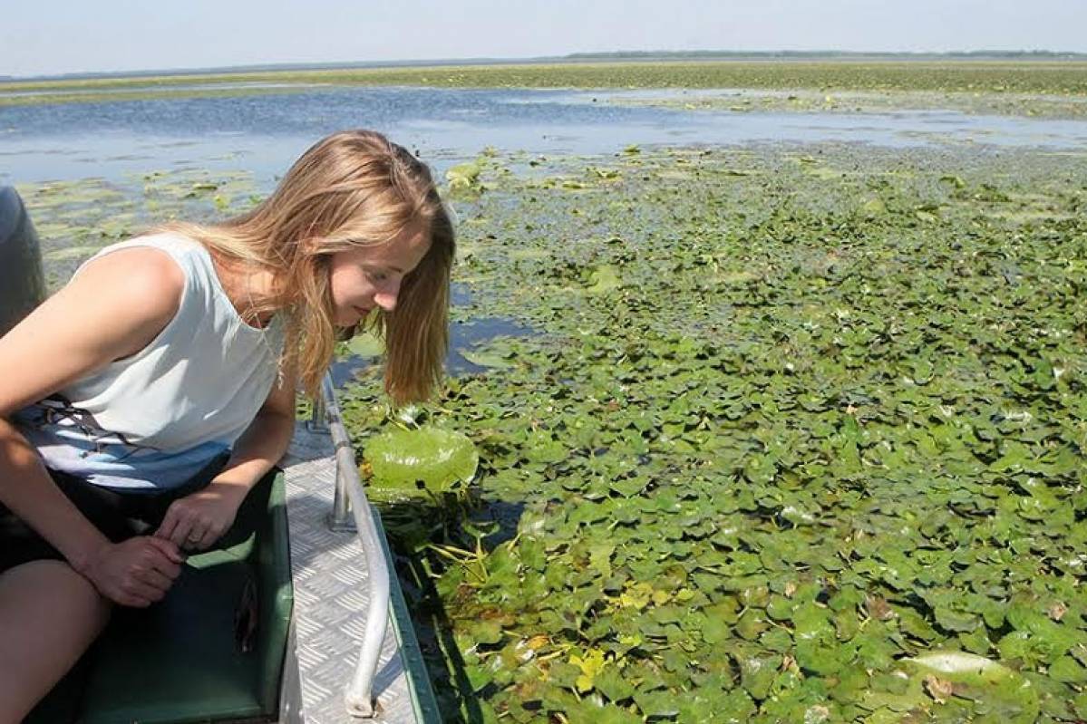 Как выглядит водяной фото