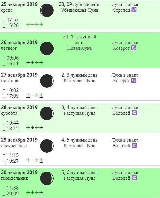 Когда квасить капусту в ноябре 2020 года: благоприятные дни подскажет лунный календарь