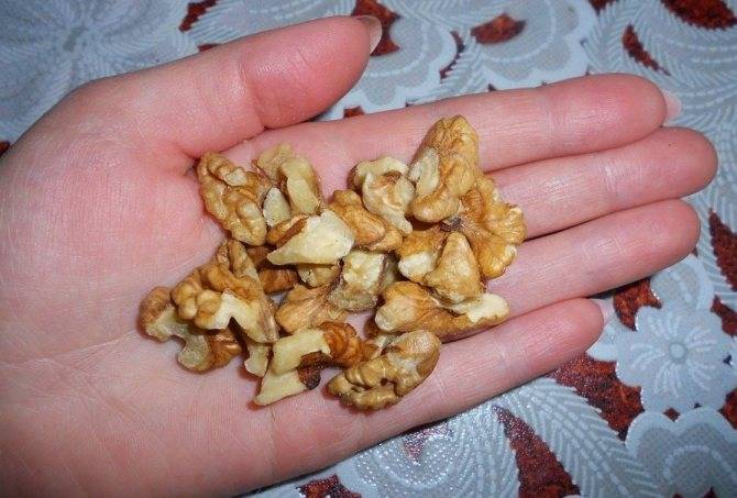 Сколько нужно есть орехов в день для набора мышечной массы