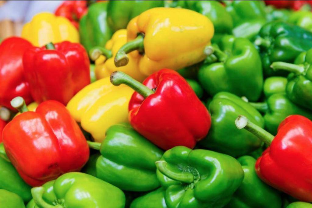 Желтый, зеленый и красный болгарский перец — это овощ или ягода, родина перца сладкого