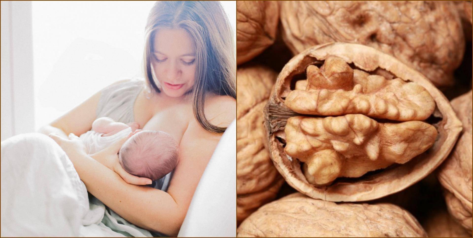 Орехи при грудном вскармливании в первый месяц новорожденного и последующие периоды