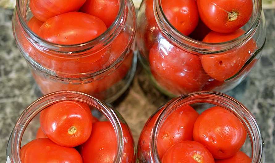 Как солить помидоры на зиму в банках: рецепты домашних заготовок