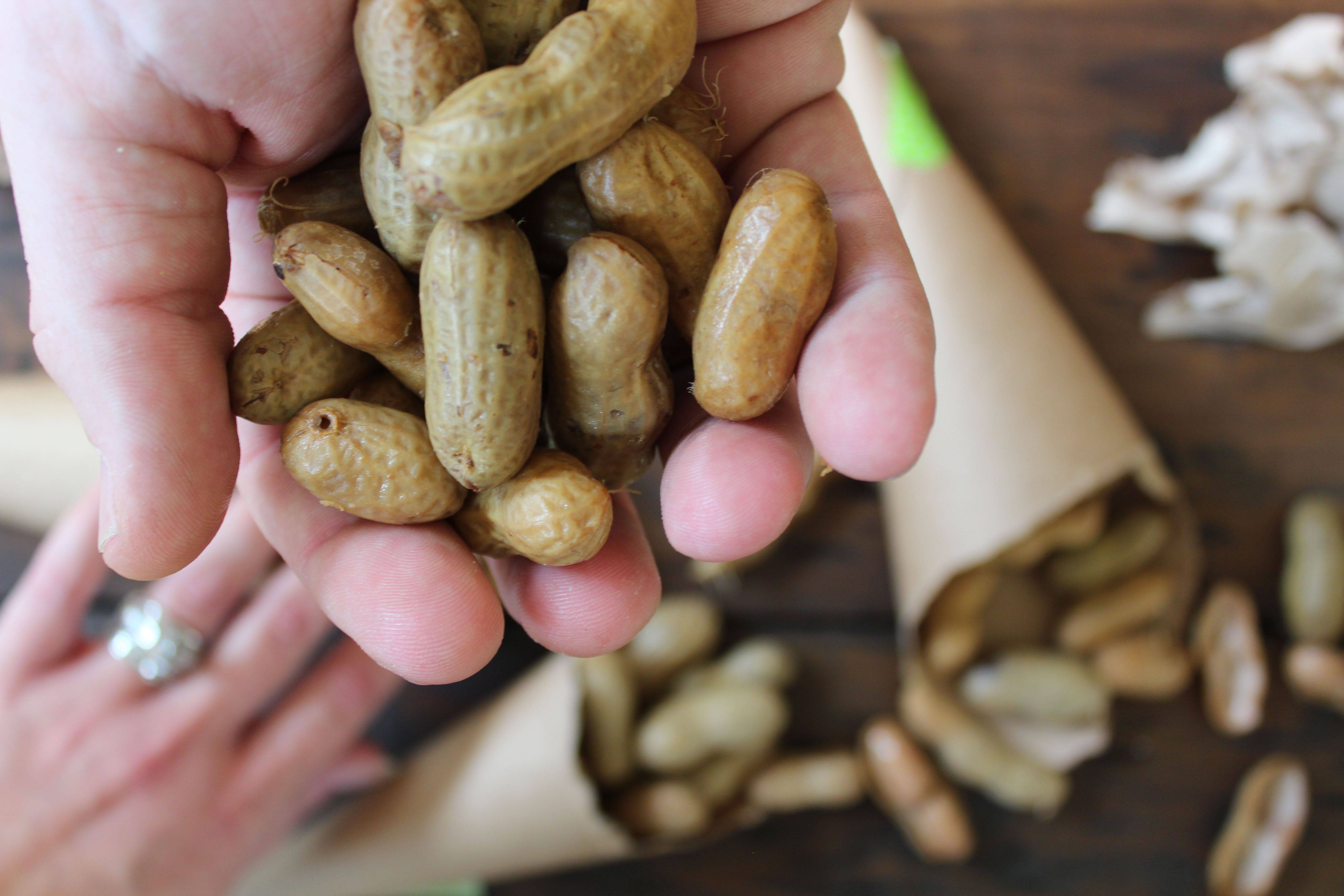 Вред и польза арахиса: состав и калорийность ореха, его влияние на организм женщин и мужчин