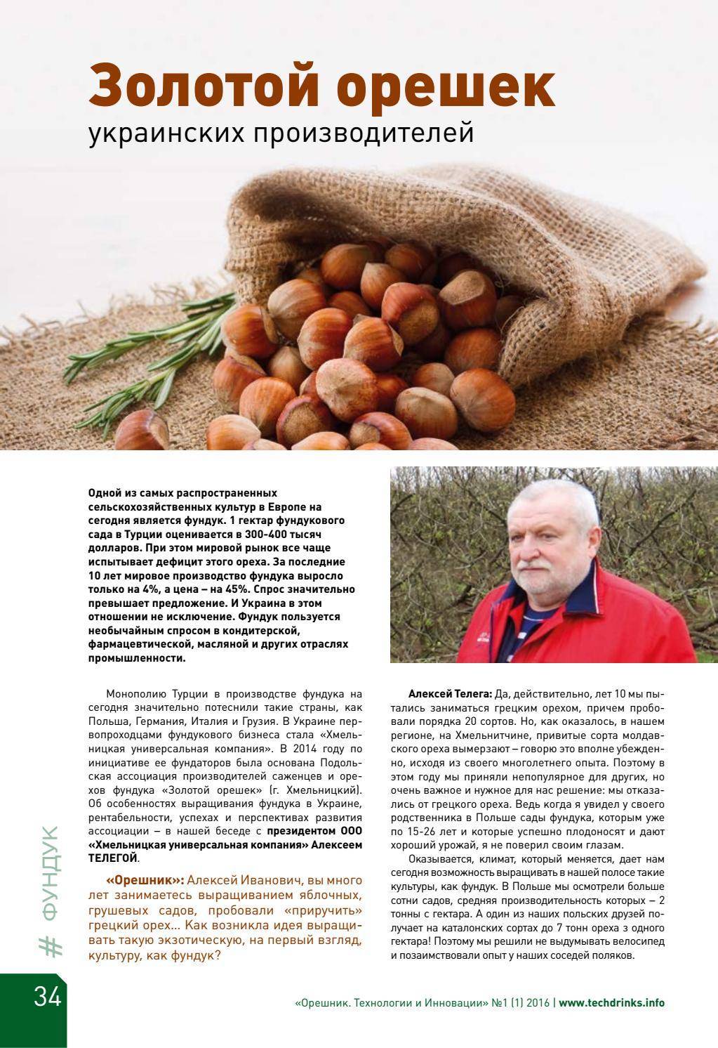Бизнес на орехах украина – как и сколько можно заработать на выращивании грецкого ореха