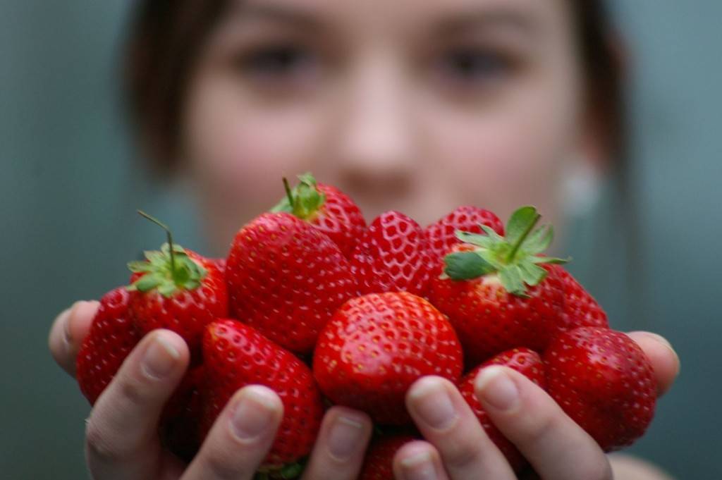 Польза и вред клубники: все о любимой ягоде