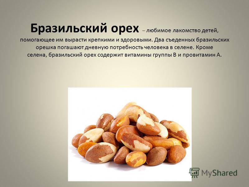 “бразильский орех — полезные свойства и противопоказания экзотического орешка”